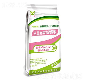 ����Ԫ��ˮ�ܷ���16-