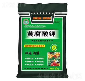 �S�����-��ɽ̩�S