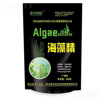 ���徫-��ɽ̩�S