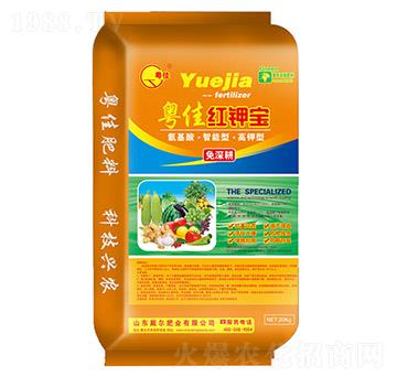 ���Ѽt⛌�-�����ʘI(y��)