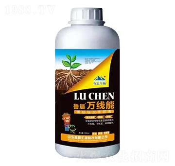 ���Y���x�K�Y�ߡ�ƿ��-�����f����-��������