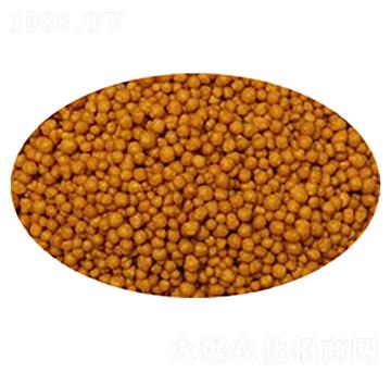 ��������-����(sh��)