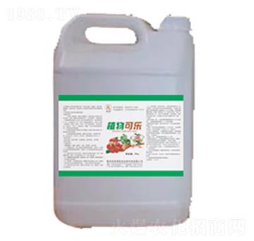 ֲ��ɘ�-��(gu��)̩��