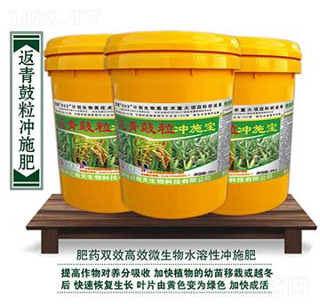 返青鼓粒沖施寶-周天生物