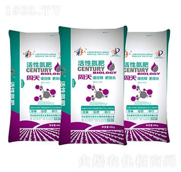 ���Ե���-��������