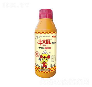 1000g�S�a(ch��n)���|(zh��)��-����N