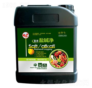 �ز��}�A��-ɽ�|�������