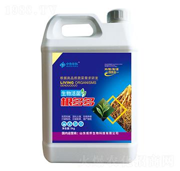 �����������-ɽ�|�������