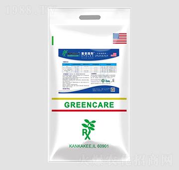 ��������-���քP��