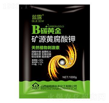 �VԴ�S�����-B̼�S��-�{¶-�L�S����