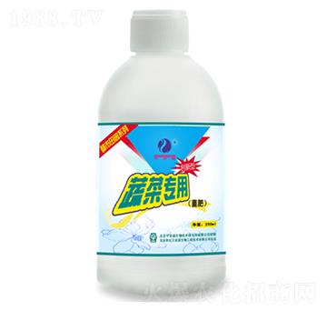 �߲ˌ��þ���-ƽ����