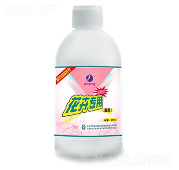 ���܌��þ���-ƽ����