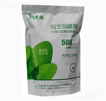 ѿ�ߗU����(f��)�Ͼ���-��ֲ-�����r(n��ng)�I(y��)