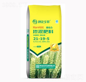 �������21-19-5-�׹��S-����S����