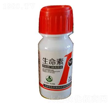 �����ޏ�(f��)��-������1̖(h��o)-���r(n��ng)����