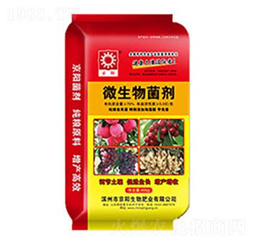 ΢�������-�������