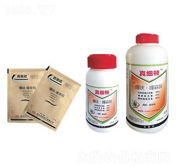 ��߻����ɭ�~-�漚(x��)�D-�|�L(f��ng)����