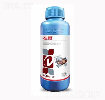 10%(li��n)�������x(ch��ng)��-����-һ������