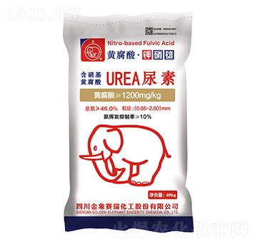 �������S��������-����ِ��