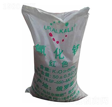 �Ȼ��-�R��