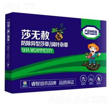 ɯ�o(w��)��-������r(n��ng)