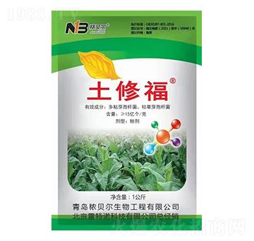 ���޸�-��ؐ��