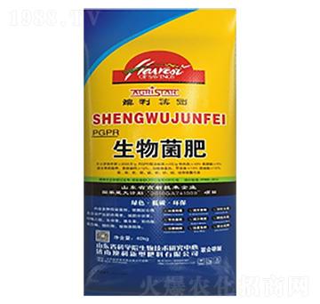 �������-����