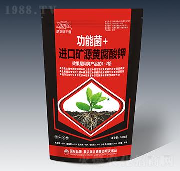 ���ܾ�+�M(j��n)�ڵVԴ�S�����-(li��n)�r(n��ng)���S��