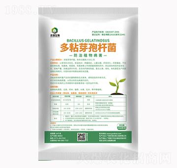 ��ճ�ѿ�ߗU��-�r������