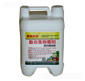 ��(f��)���������-�����S