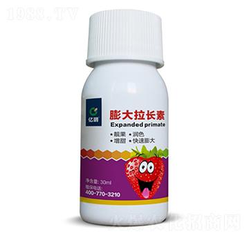 ��ݮ������L(zh��ng)��-�R������