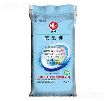 �t��50%�����-���o(j��)����