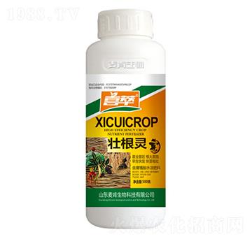 �Ѹ��`-��������