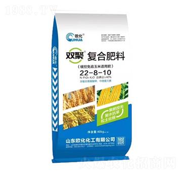 �p�ۏͺϷ���22-8-