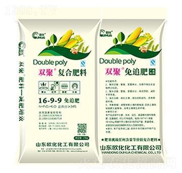 ����С����׷�ͺϷ�16