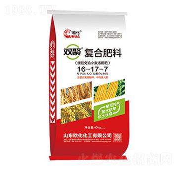 �p�ۏͺϷ���16-17