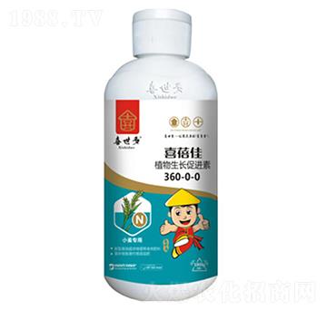 ֲ�����L���M��360-0-0-ϲ����-ϲ����