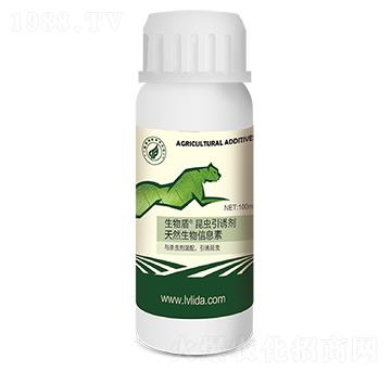 ����ܡ����x���T��-���}