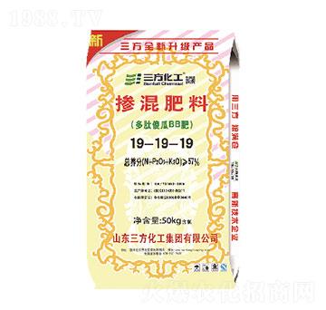 �������19-19-19-��������