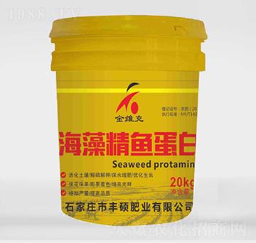 ���徫�~(y��)����-��S��-�S�T���r(n��ng)