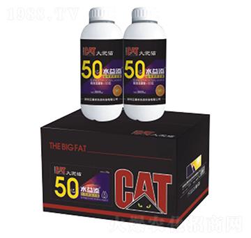 ����؈ˮ����-�ƻ��r