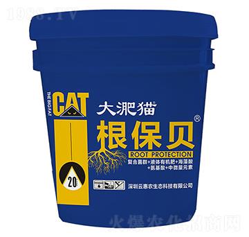 ����؈����ؐ-�ƻ��r