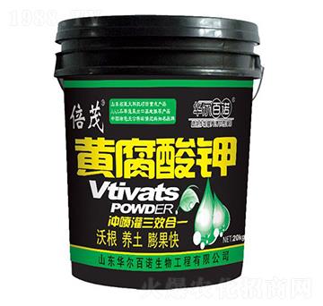 �S�����-�A�����Z