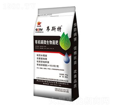 �ЙC(j��)̼΢�������-�f˹��-���r(n��ng)�I(y��)