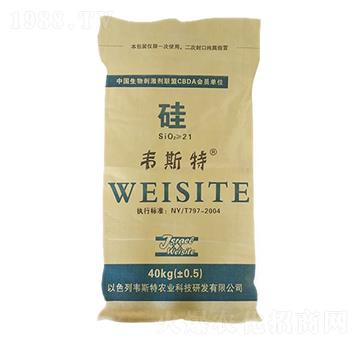 ���-�f˹��-��(l��)�r(n��ng)�I(y��)