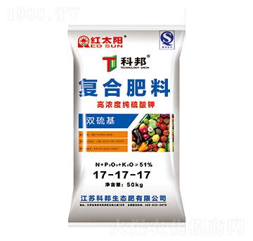 �p����ͺϷ���17-1