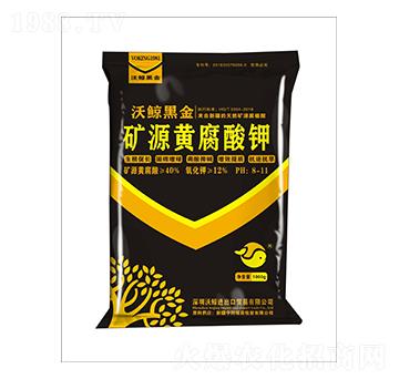 40%�VԴ�S�����-�ڽ�2̖(h��o)-���L