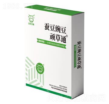 �Q���㶹�B��ͨ-���A����