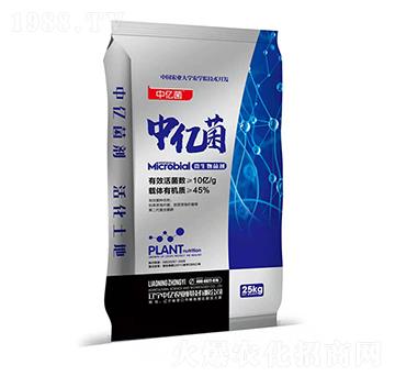 10�|΢�������-�Ѓ|��-�Ѓ|�r(n��ng)�I(y��)