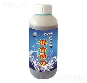 ��τ�(d��ng)��-�؏�(f��)��